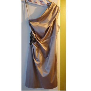 Champagne Cocktail dress knee-length Sz 12